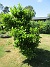 IMG_0061  
                                 
2025-06-29 IMG_0061