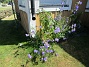  (2025-06-29 Storklocka_0038)