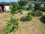Granudden  
                                 
2025-07-10 Granudden_0025