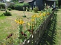 Granudden  
                                 
2025-07-15 Granudden_0014