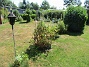                                 (2025-07-15 Granudden_0017)