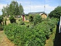 Granudden  
  
2025-07-15 Granudden_0064