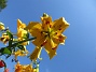                                 (2025-07-15 Liljor_0029)