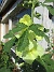 Stockros  
                                 
2025-07-15 Stockros_0093