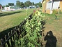IMG_0100  
                                 
2025-07-19 IMG_0100