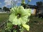 Stockros  
                                 
2025-07-19 Stockros_0007