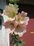 Stockros  
                                 
2025-07-19 Stockros_0036