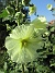 Stockros  
                                 
2025-07-19 Stockros_0098