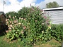 Uteplatsen  
                                 
2025-07-24 Uteplatsen_0046