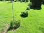 IMG_0002&nbsp;&nbsp;
                               &nbsp;&nbsp;
2026-05-17 IMG_0002