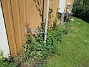 IMG_0031&nbsp;&nbsp;
                               &nbsp;&nbsp;
2026-05-17 IMG_0031