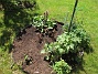 IMG_0037&nbsp;&nbsp;
                               &nbsp;&nbsp;
2026-05-17 IMG_0037