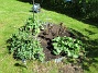 IMG_0038&nbsp;&nbsp;
                               &nbsp;&nbsp;
2026-05-17 IMG_0038