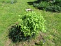 IMG_0045&nbsp;&nbsp;
                               &nbsp;&nbsp;
2026-05-17 IMG_0045