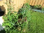 Vinkeln&nbsp;&nbsp;
&nbsp;&nbsp;
2026-05-17 Vinkeln_0061