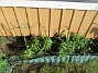 Vinkeln&nbsp;&nbsp;
&nbsp;&nbsp;
2026-05-17 Vinkeln_0062