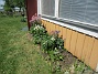 Altanen&nbsp;&nbsp;
&nbsp;&nbsp;
2026-05-25 Altanen_0049