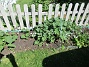 Bakgården&nbsp;&nbsp;
&nbsp;&nbsp;
2026-05-25 Bakgården_0027