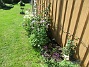 Gaveln&nbsp;&nbsp;
&nbsp;&nbsp;
2026-05-25 Gaveln_0066