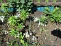 IMG_0015&nbsp;&nbsp;
                               &nbsp;&nbsp;
2026-05-25 IMG_0015