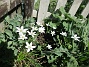 IMG_0025&nbsp;&nbsp;
                               &nbsp;&nbsp;
2026-05-25 IMG_0025