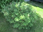 Rundel&nbsp;&nbsp;
&nbsp;&nbsp;
2026-05-25 Rundel_0007