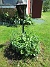 Rundel&nbsp;&nbsp;
&nbsp;&nbsp;
2026-05-25 Rundel_0035
