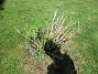 Rundel&nbsp;&nbsp;
&nbsp;&nbsp;
2026-05-25 Rundel_0078