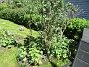 Uteplatsen&nbsp;&nbsp;
&nbsp;&nbsp;
2026-05-25 Uteplatsen_0072
