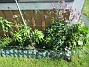 Vinkeln&nbsp;&nbsp;
&nbsp;&nbsp;
2026-05-25 Vinkeln_0103