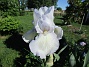 Iris&nbsp;&nbsp;
&nbsp;&nbsp;
2026-05-27 Iris_0005