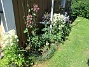 Gaveln&nbsp;&nbsp;
&nbsp;&nbsp;
2026-05-31 Gaveln_0030