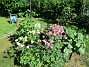 IMG_0031&nbsp;&nbsp;
                               &nbsp;&nbsp;
2026-05-31 IMG_0031