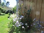 IMG_0034&nbsp;&nbsp;
                               &nbsp;&nbsp;
2026-05-31 IMG_0034