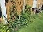 Granudden&nbsp;&nbsp;
&nbsp;&nbsp;
2026-06-21 Granudden_0024