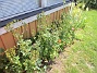 Altanen&nbsp;&nbsp;
&nbsp;&nbsp;
2026-06-27 Altanen_0041