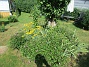 Björken&nbsp;&nbsp;
&nbsp;&nbsp;
2026-06-27 Björken_0061