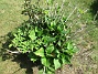 IMG_0043&nbsp;&nbsp;
                               &nbsp;&nbsp;
2026-06-27 IMG_0043