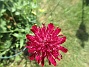 Vädd&nbsp;&nbsp;
&nbsp;&nbsp;
2026-06-27 Vädd_0033