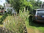 IMG_0008&nbsp;&nbsp;
                               &nbsp;&nbsp;
2026-07-15 IMG_0008