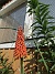 IMG_0060&nbsp;&nbsp;
                               &nbsp;&nbsp;
2026-07-15 IMG_0060