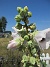 Stockros&nbsp;&nbsp;
&nbsp;&nbsp;
2026-07-15 Stockros_0013