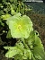 Stockros&nbsp;&nbsp;
&nbsp;&nbsp;
2026-07-15 Stockros_0025