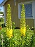  (2006 2006-07-01 Bild 036)