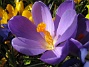  (2007 2007-03-24 Bild 010)