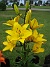  (2007 2007-07-09 Bild 014)