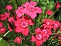  (2008 2008-06-15 Bild 028)