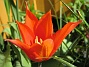  (Favs 2007-05-05 Bild 038)