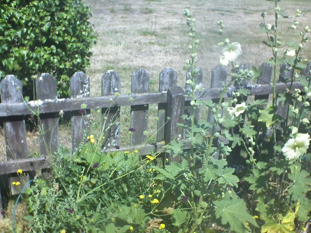 CPGP Garden Cam : Historik