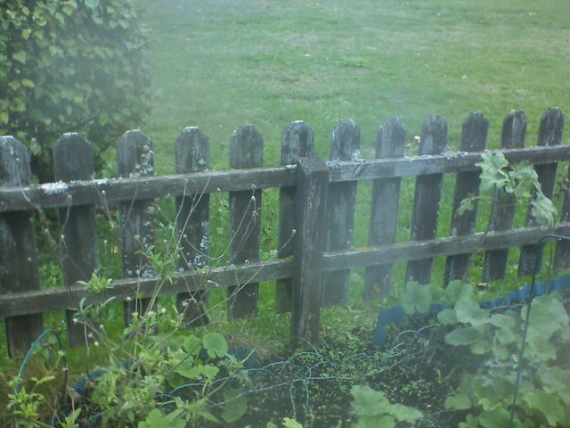 CPGP Garden Cam : Historik